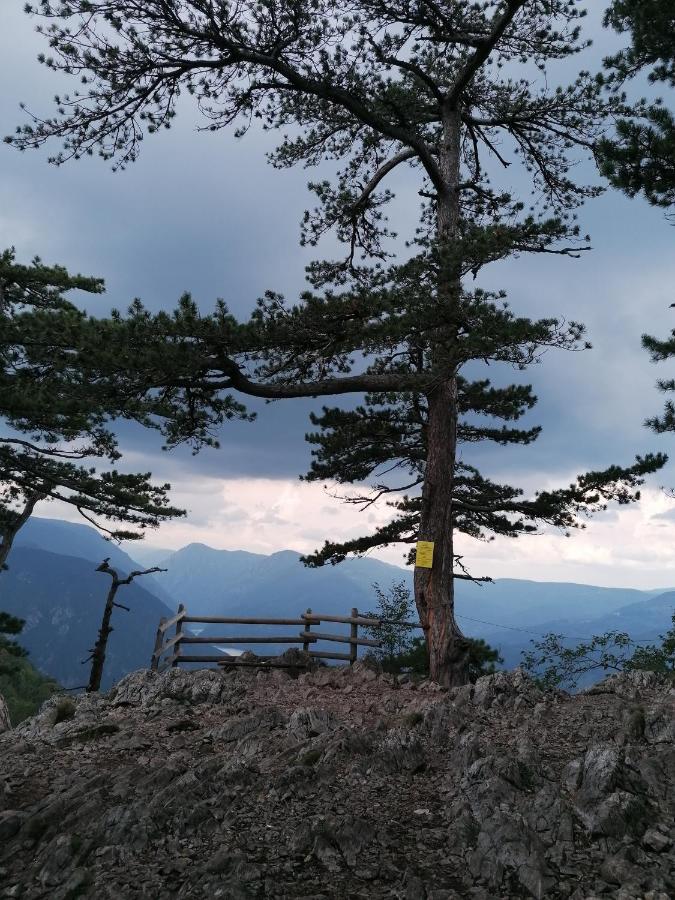 Vikendica Moonlight Βίλα Zaovine Εξωτερικό φωτογραφία