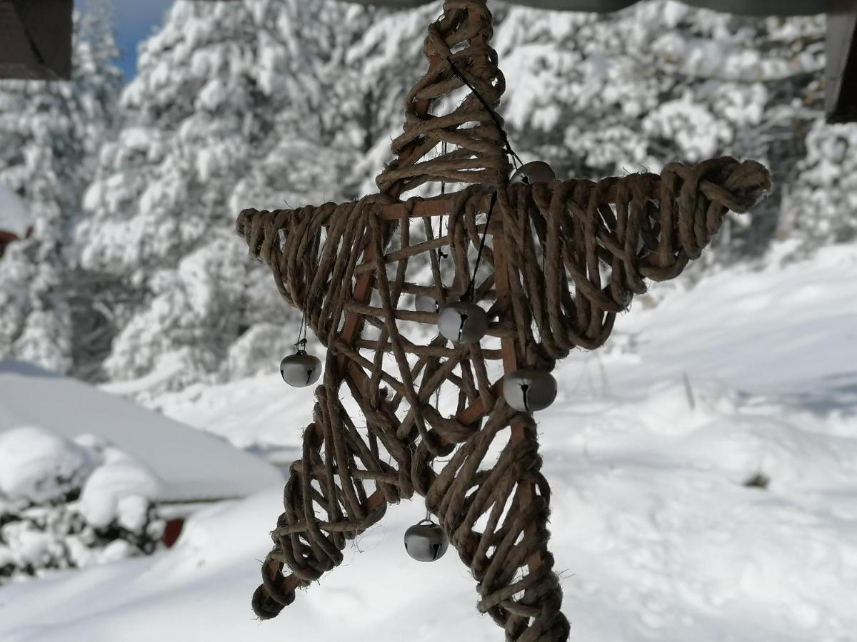 Vikendica Moonlight Βίλα Zaovine Εξωτερικό φωτογραφία